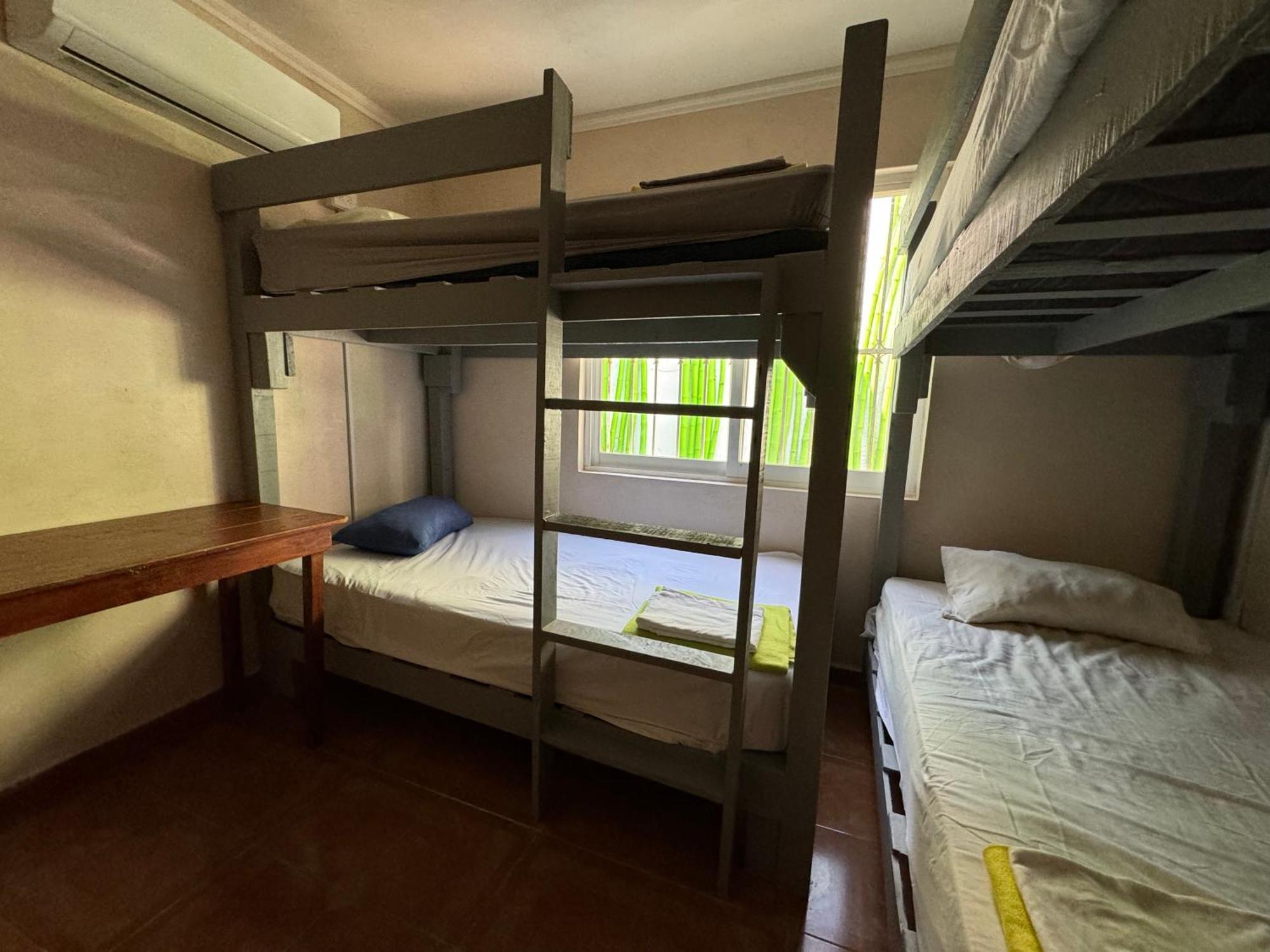 Pecari 26 Apartment Cancun Ngoại thất bức ảnh